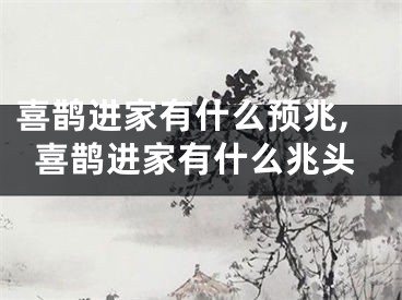 喜鹊进家有什么预兆,喜鹊进家有什么兆头