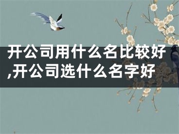 开公司用什么名比较好,开公司选什么名字好