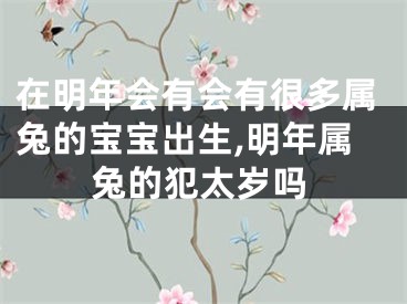 在明年会有会有很多属兔的宝宝出生,明年属兔的犯太岁吗