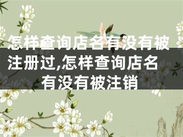 怎样查询店名有没有被注册过,怎样查询店名有没有被注销