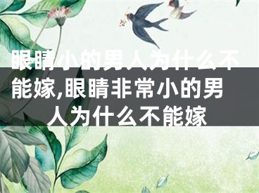 眼睛小的男人为什么不能嫁,眼睛非常小的男人为什么不能嫁