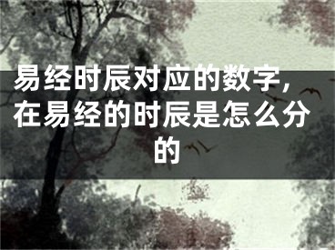 易经时辰对应的数字,在易经的时辰是怎么分的