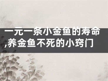 一元一条小金鱼的寿命,养金鱼不死的小窍门