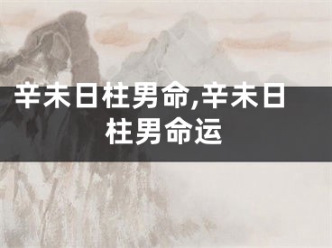 辛未日柱男命,辛未日柱男命运