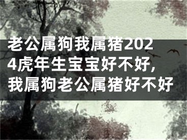 老公属狗我属猪2024虎年生宝宝好不好,我属狗老公属猪好不好