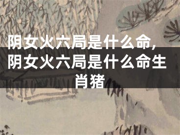 阴女火六局是什么命,阴女火六局是什么命生肖猪
