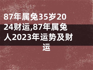 87年属兔35岁2024财运,87年属兔人2023年运势及财运