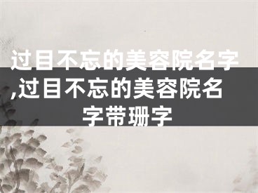 过目不忘的美容院名字,过目不忘的美容院名字带珊字