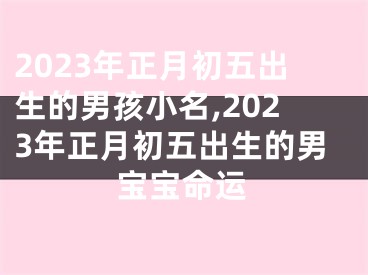 2023年正月初五出生的男孩小名,2023年正月初五出生的男宝宝命运