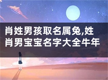 肖姓男孩取名属兔,姓肖男宝宝名字大全牛年