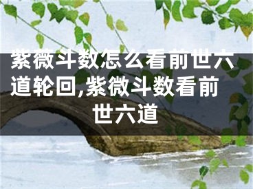 紫薇斗数怎么看前世六道轮回,紫微斗数看前世六道