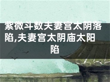 紫微斗数夫妻宫太阴落陷,夫妻宫太阴庙太阳陷