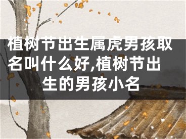 植树节出生属虎男孩取名叫什么好,植树节出生的男孩小名