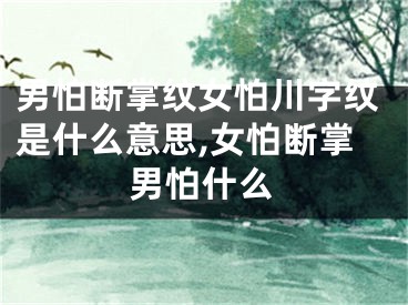 男怕断掌纹女怕川字纹是什么意思,女怕断掌男怕什么