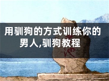 用驯狗的方式训练你的男人,驯狗教程