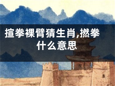 揎拳裸臂猜生肖,撚拳什么意思