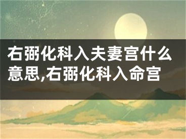 右弼化科入夫妻宫什么意思,右弼化科入命宫