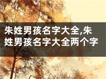 朱姓男孩名字大全,朱姓男孩名字大全两个字