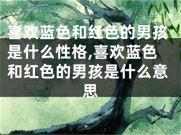 喜欢蓝色和红色的男孩是什么性格,喜欢蓝色和红色的男孩是什么意思
