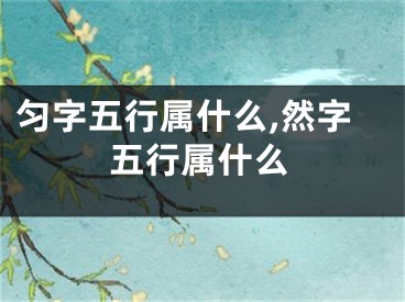 匀字五行属什么,然字五行属什么