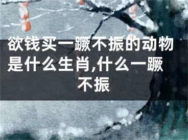 欲钱买一蹶不振的动物是什么生肖,什么一蹶不振
