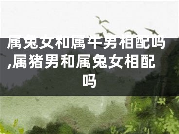 属兔女和属牛男相配吗,属猪男和属兔女相配吗