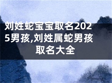 刘姓蛇宝宝取名2025男孩,刘姓属蛇男孩取名大全
