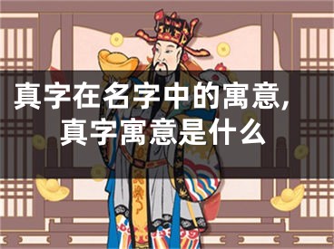 真字在名字中的寓意,真字寓意是什么