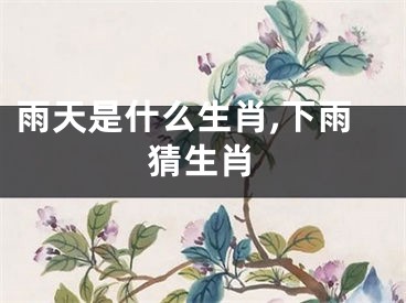 雨天是什么生肖,下雨猜生肖