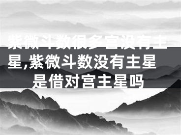 紫微斗数很多宫没有主星,紫微斗数没有主星是借对宫主星吗