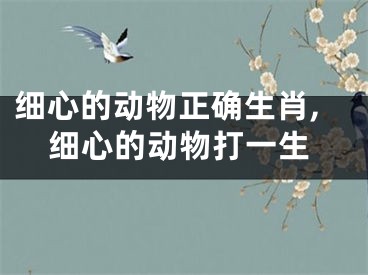 细心的动物正确生肖,细心的动物打一生
