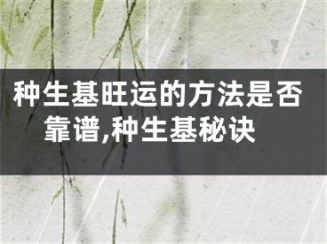 种生基旺运的方法是否靠谱,种生基秘诀