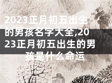 2023正月初五出生的男孩名字大全,2023正月初五出生的男孩是什么命运