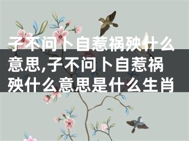 子不问卜自惹祸殃什么意思,子不问卜自惹祸殃什么意思是什么生肖