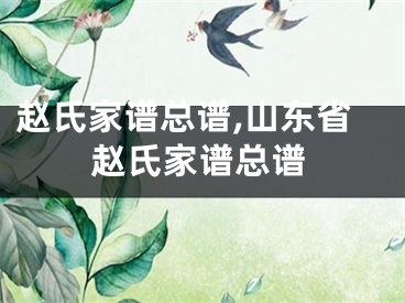 赵氏家谱总谱,山东省赵氏家谱总谱