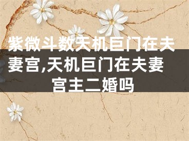 紫微斗数天机巨门在夫妻宫,天机巨门在夫妻宫主二婚吗