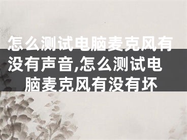 怎么测试电脑麦克风有没有声音,怎么测试电脑麦克风有没有坏