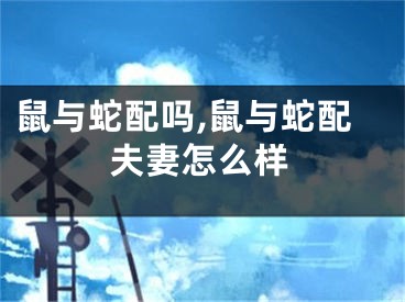 鼠与蛇配吗,鼠与蛇配夫妻怎么样