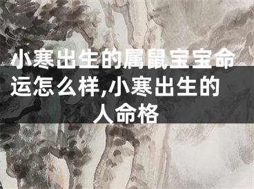 小寒出生的属鼠宝宝命运怎么样,小寒出生的人命格