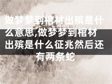 做梦梦到棺材出殡是什么意思,做梦梦到棺材出殡是什么征兆然后还有两条蛇
