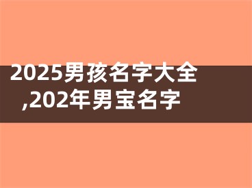 2025男孩名字大全,202年男宝名字