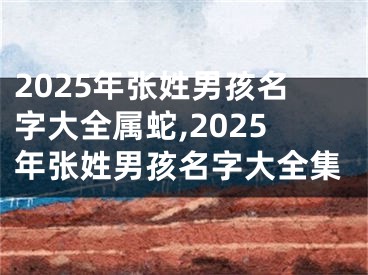 2025年张姓男孩名字大全属蛇,2025年张姓男孩名字大全集