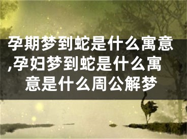 孕期梦到蛇是什么寓意,孕妇梦到蛇是什么寓意是什么周公解梦