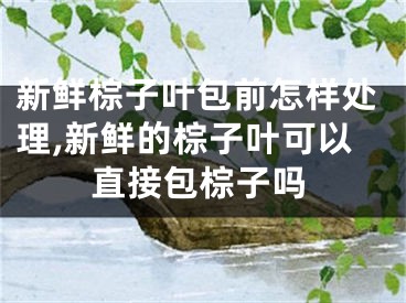 新鲜棕子叶包前怎样处理,新鲜的棕子叶可以直接包棕子吗