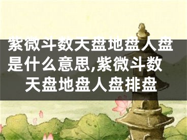 紫微斗数天盘地盘人盘是什么意思,紫微斗数天盘地盘人盘排盘