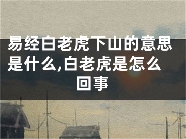 易经白老虎下山的意思是什么,白老虎是怎么回事