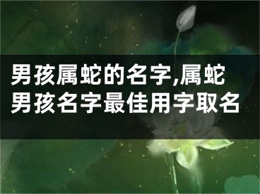 男孩属蛇的名字,属蛇男孩名字最佳用字取名