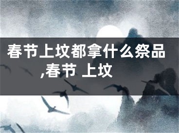 春节上坟都拿什么祭品,春节 上坟