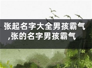 张起名字大全男孩霸气,张的名字男孩霸气