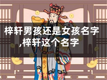 梓轩男孩还是女孩名字,梓轩这个名字